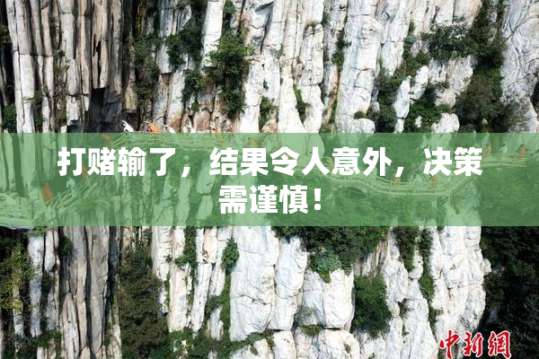 打赌输了，结果令人意外，决策需谨慎！