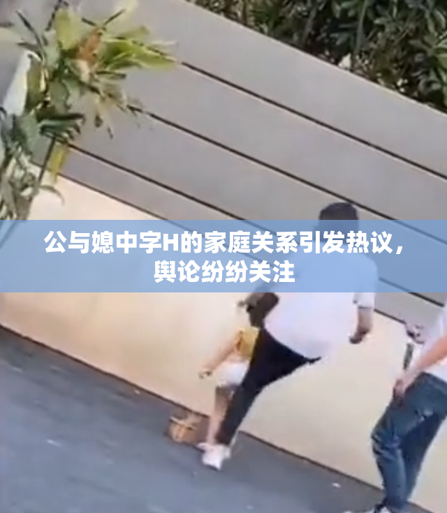 公与媳中字H的家庭关系引发热议，舆论纷纷关注
