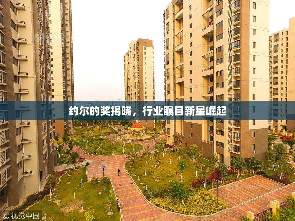 约尔的奖揭晓，行业瞩目新星崛起
