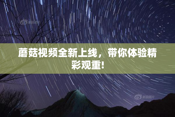蘑菇视频全新上线，带你体验精彩观重!