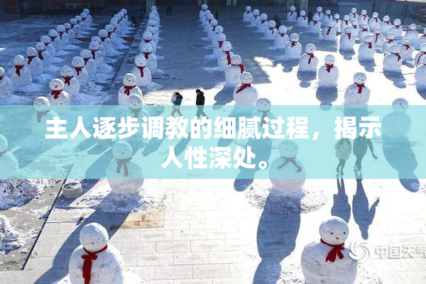 主人逐步调教的细腻过程，揭示人性深处。