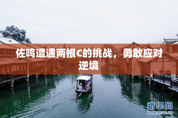 佐鸣遭遇两根C的挑战，勇敢应对逆境
