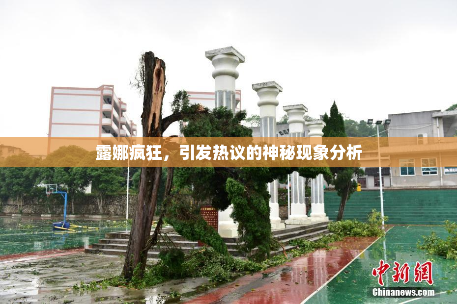 露娜疯狂，引发热议的神秘现象分析