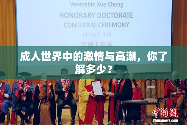 成人世界中的激情与高潮，你了解多少？