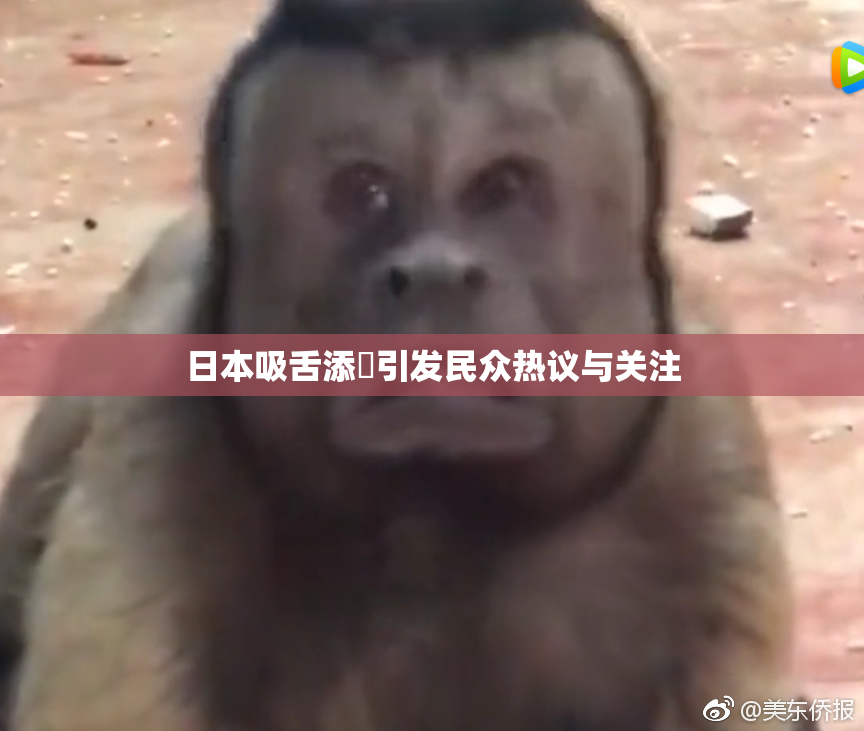 日本吸舌添泬引发民众热议与关注
