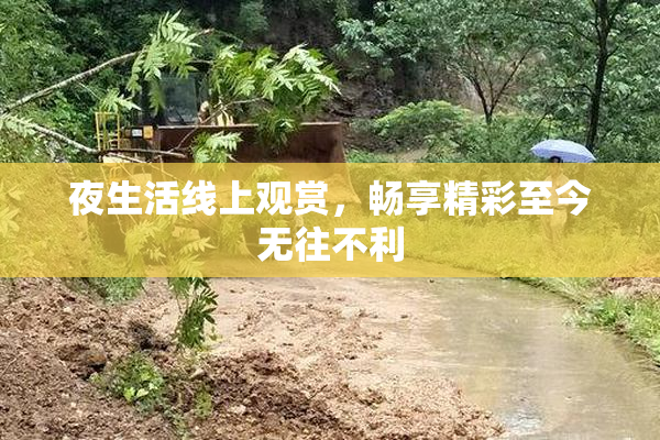夜生活线上观赏，畅享精彩至今无往不利