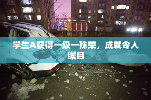 学生A获得一级一殊荣，成就令人瞩目