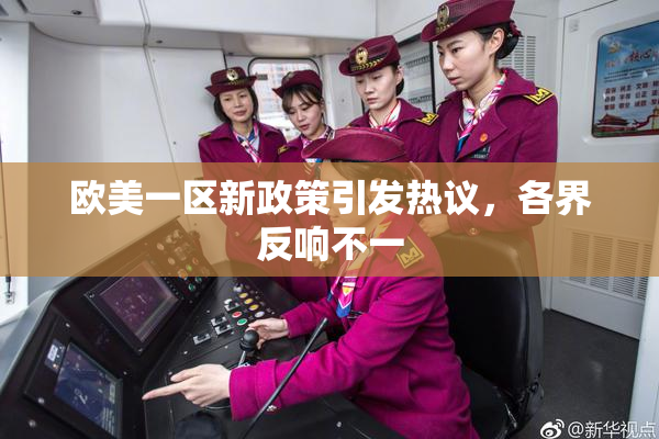 欧美一区新政策引发热议，各界反响不一