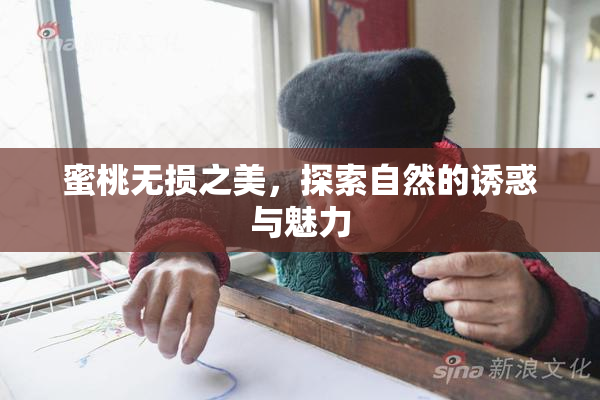 蜜桃无损之美，探索自然的诱惑与魅力