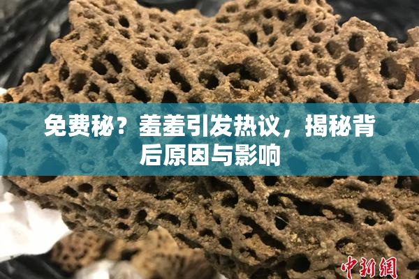 免费秘？羞羞引发热议，揭秘背后原因与影响