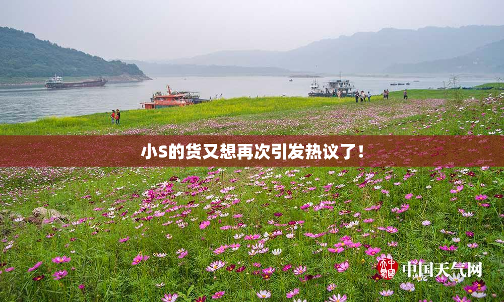 小S的货又想再次引发热议了！