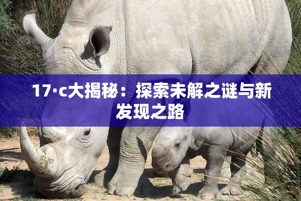 17·c大揭秘：探索未解之谜与新发现之路