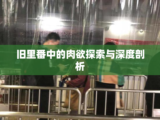 旧里番中的肉欲探索与深度剖析