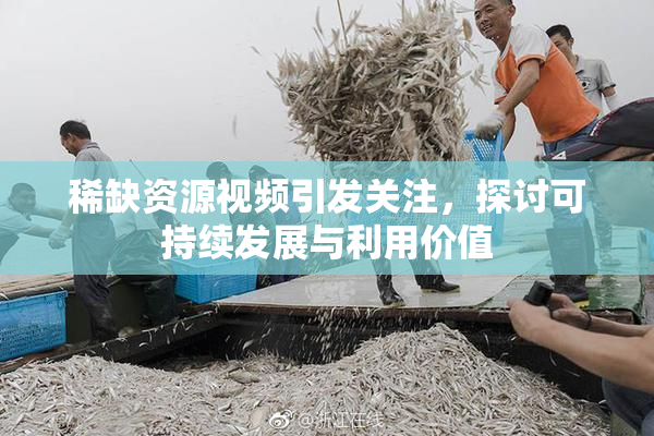 稀缺资源视频引发关注，探讨可持续发展与利用价值
