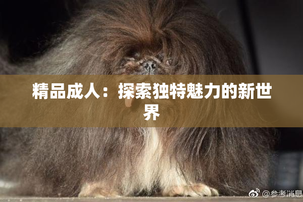 精品成人：探索独特魅力的新世界