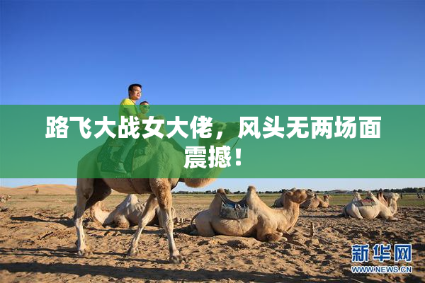 路飞大战女大佬，风头无两场面震撼！