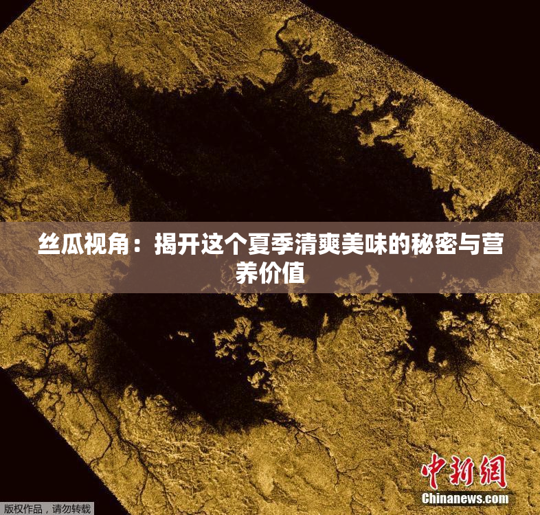 丝瓜视角：揭开这个夏季清爽美味的秘密与营养价值