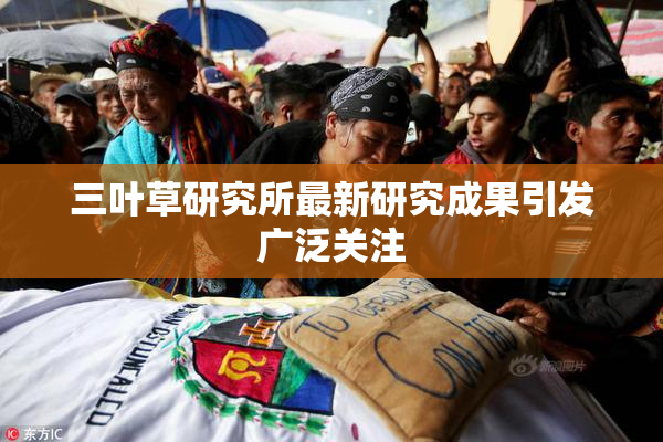 三叶草研究所最新研究成果引发广泛关注