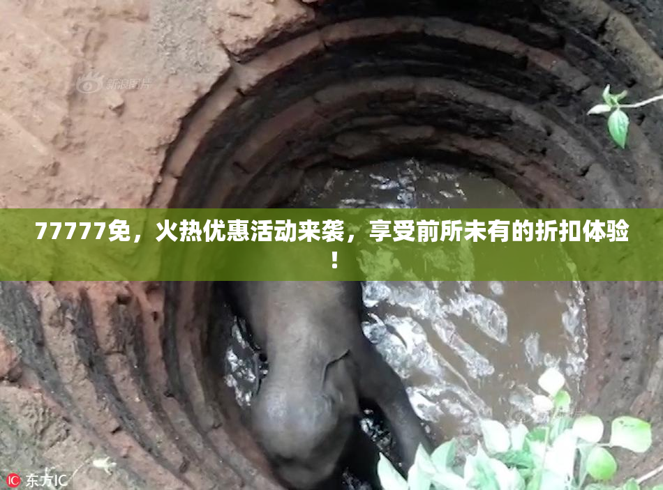 77777免，火热优惠活动来袭，享受前所未有的折扣体验！