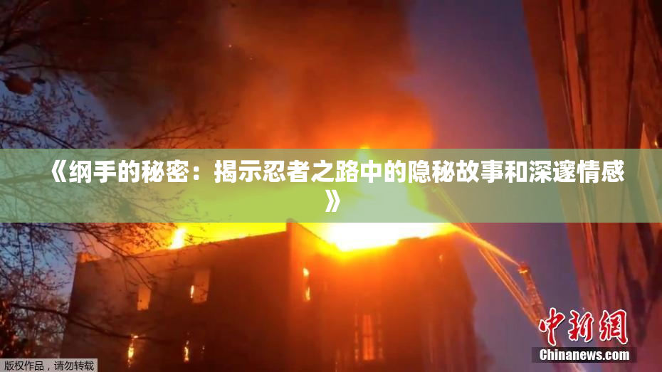 《纲手的秘密：揭示忍者之路中的隐秘故事和深邃情感》