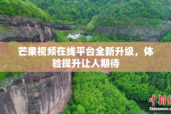 芒果视频在线平台全新升级，体验提升让人期待