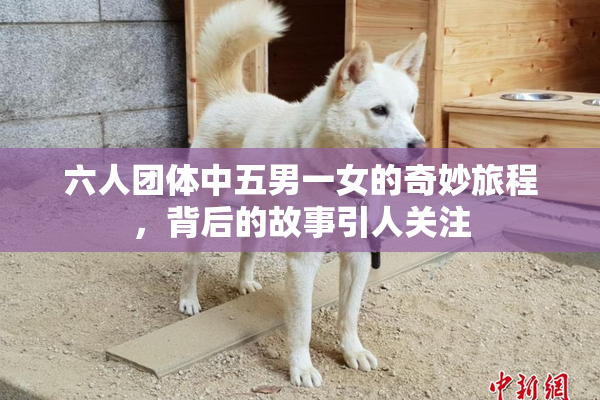 六人团体中五男一女的奇妙旅程，背后的故事引人关注
