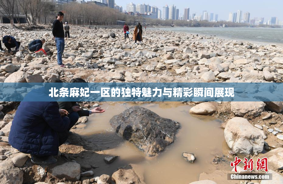 北条麻妃一区的独特魅力与精彩瞬间展现