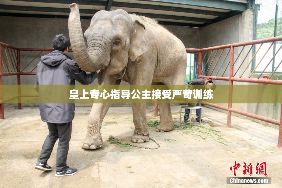 皇上专心指导公主接受严苛训练