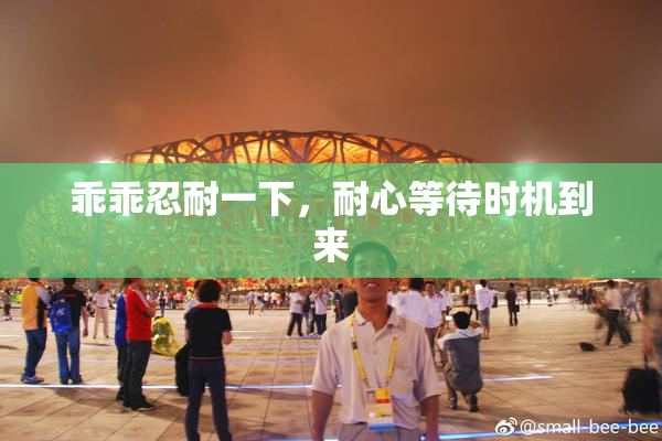 乖乖忍耐一下，耐心等待时机到来