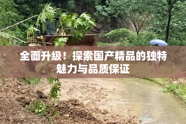 全面升级！探索国产精品的独特魅力与品质保证