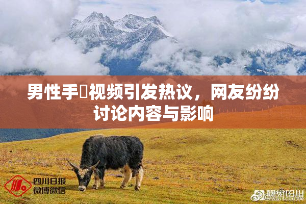 男性手婬视频引发热议，网友纷纷讨论内容与影响