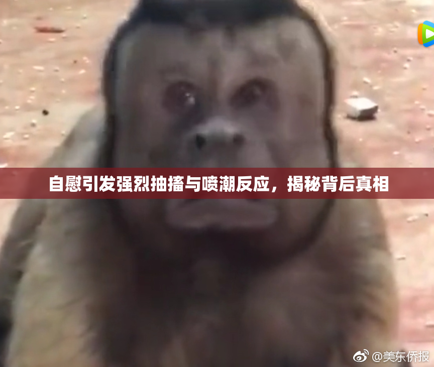 自慰引发强烈抽搐与喷潮反应，揭秘背后真相