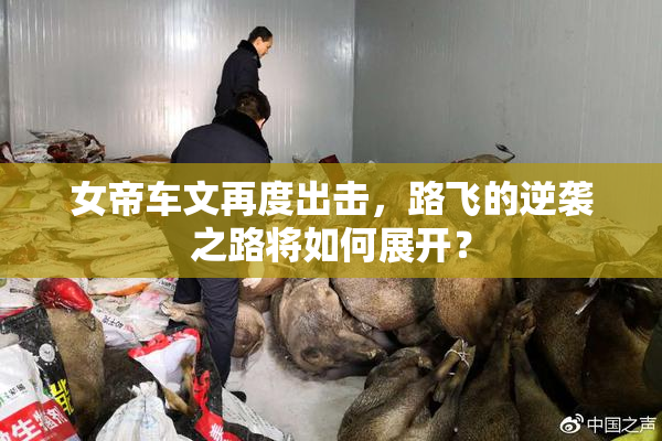 女帝车文再度出击，路飞的逆袭之路将如何展开？