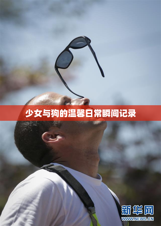 少女与狗的温馨日常瞬间记录
