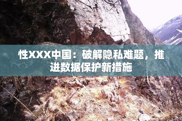 性XXX中国：破解隐私难题，推进数据保护新措施