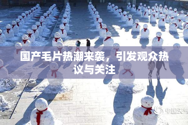 国产毛片热潮来袭，引发观众热议与关注