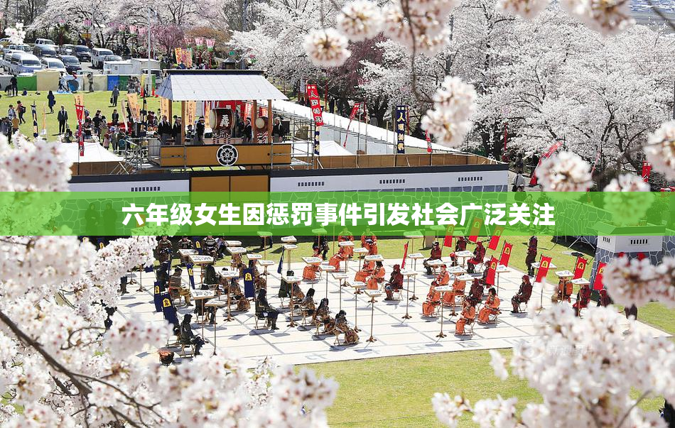 六年级女生因惩罚事件引发社会广泛关注