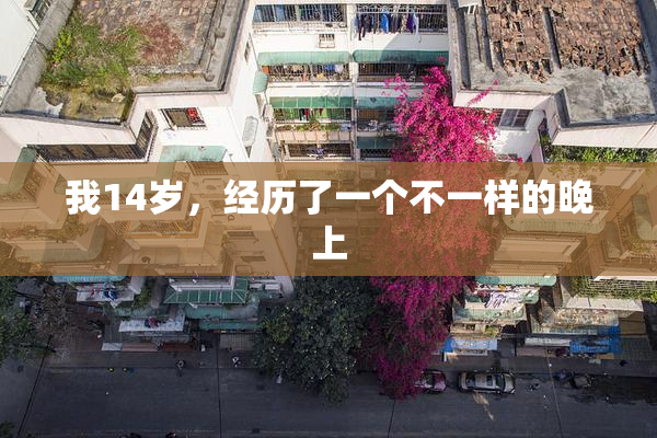 我14岁，经历了一个不一样的晚上