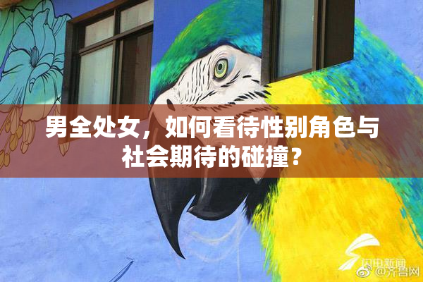 男全处女，如何看待性别角色与社会期待的碰撞？