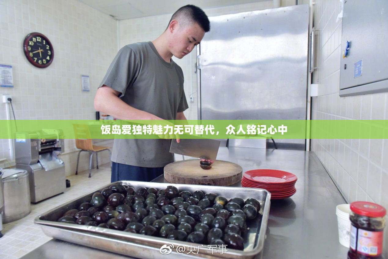 饭岛爱独特魅力无可替代，众人铭记心中