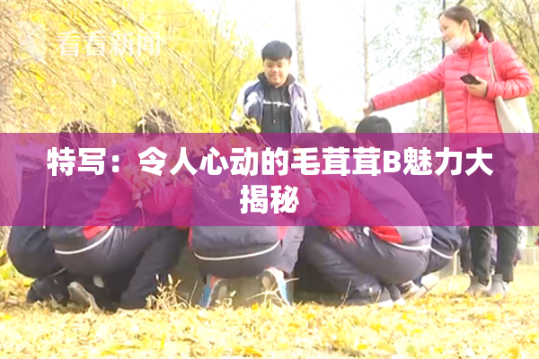 特写：令人心动的毛茸茸B魅力大揭秘
