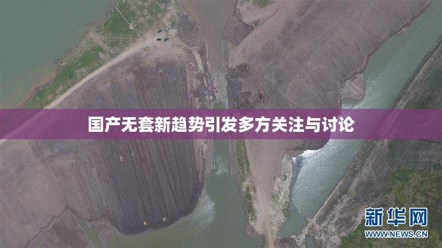国产无套新趋势引发多方关注与讨论