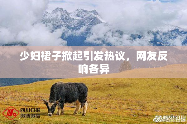 少妇裙子掀起引发热议，网友反响各异