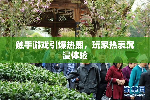 触手游戏引爆热潮，玩家热衷沉浸体验
