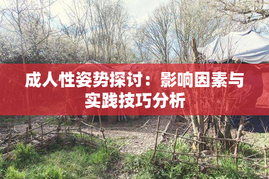 成人性姿势探讨：影响因素与实践技巧分析