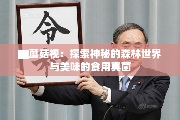 ▇蘑菇视：探索神秘的森林世界与美味的食用真菌