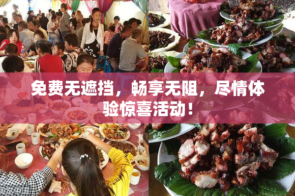 免费无遮挡，畅享无阻，尽情体验惊喜活动！