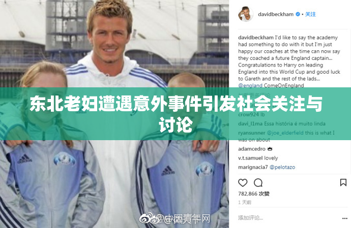 东北老妇遭遇意外事件引发社会关注与讨论