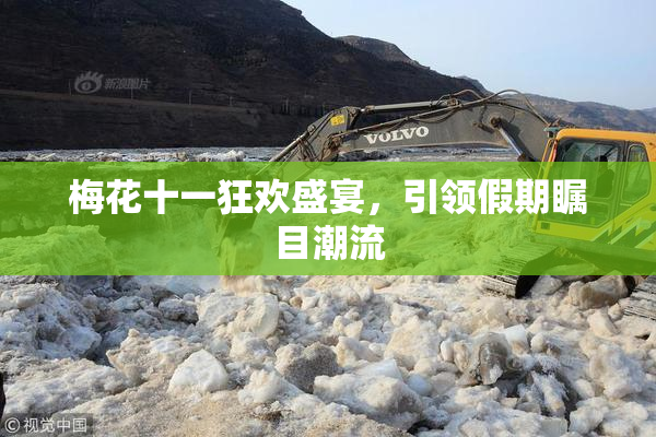 梅花十一狂欢盛宴，引领假期瞩目潮流