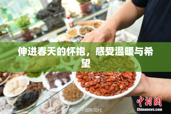 伸进春天的怀抱，感受温暖与希望